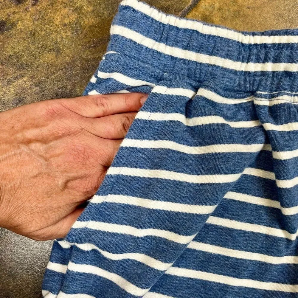 Banana Republic Blue White Striped Shorts Large